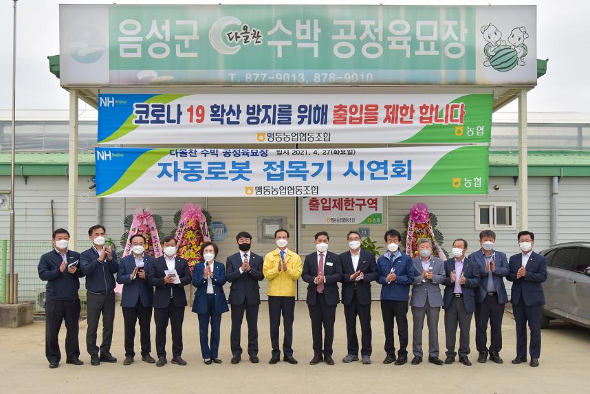 다올찬 수박 공정육묘장 자동로봇 접목기 시연회