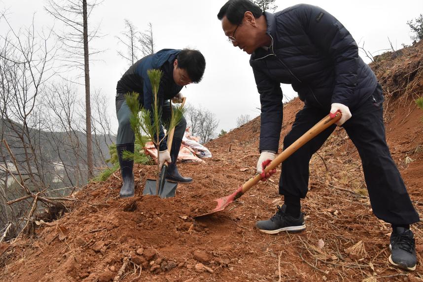 나무심기 내 나무 갖기 캠페인